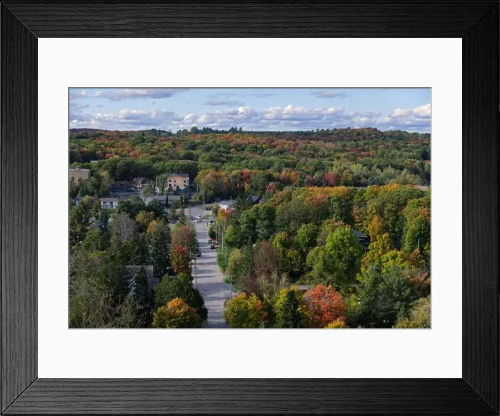 Framed Print : 2yhgrn1 Framed Print : 2yhgrn1
