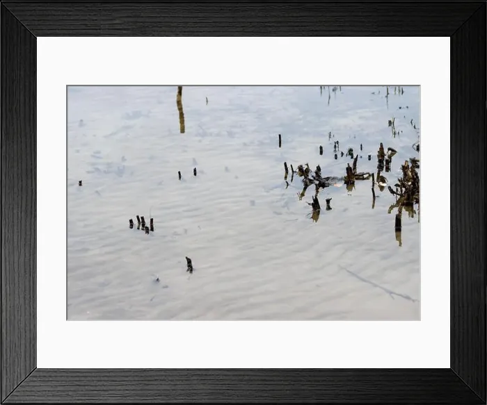 Framed Print : 2yhgxca Framed Print : 2yhgxca
