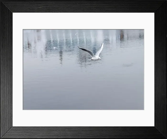 Framed Print : 2yhgxj7 Framed Print : 2yhgxj7