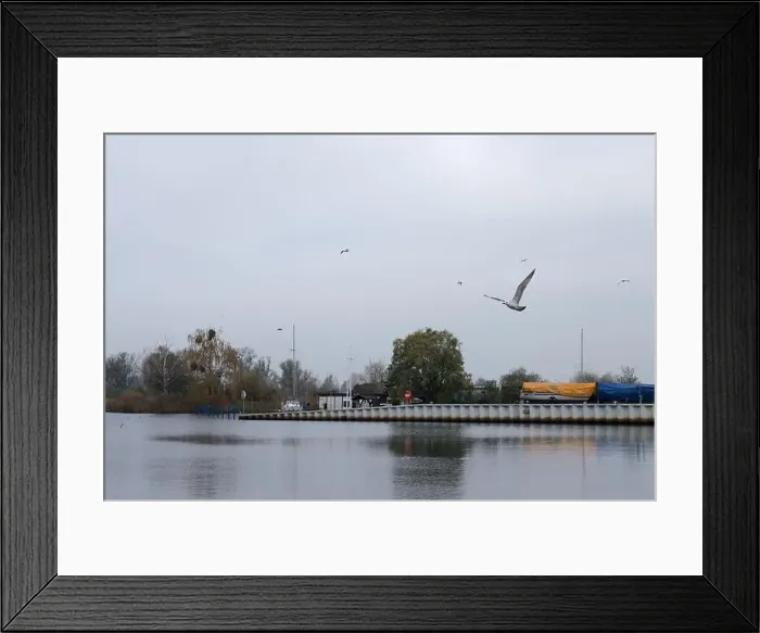 Framed Print : 2yhgxpa Framed Print : 2yhgxpa