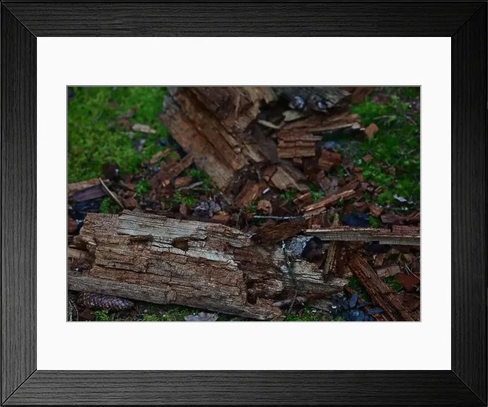 Framed Print : 2yhm3xe Framed Print : 2yhm3xe