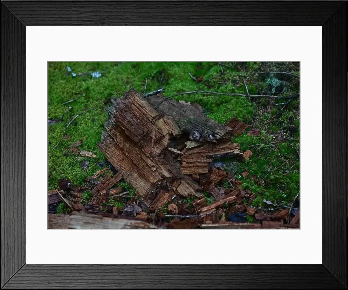 Framed Print : 2yhm407 Framed Print : 2yhm407