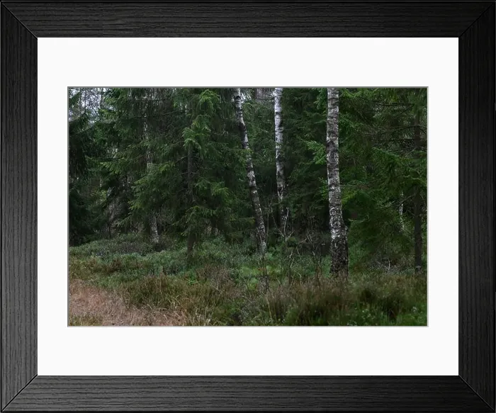 Framed Print : 2yhm4h0 Framed Print : 2yhm4h0