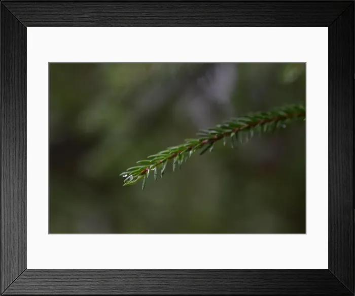 Framed Print : 2yhmahx Framed Print : 2yhmahx
