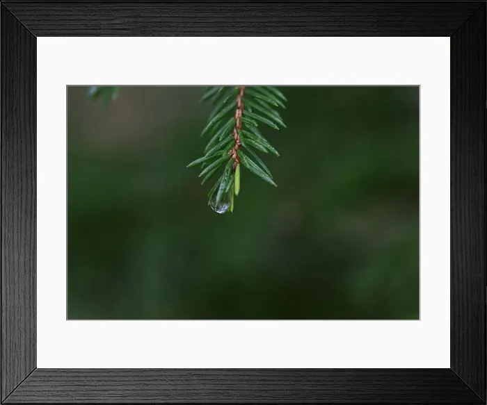 Framed Print : 2yhmbew Framed Print : 2yhmbew