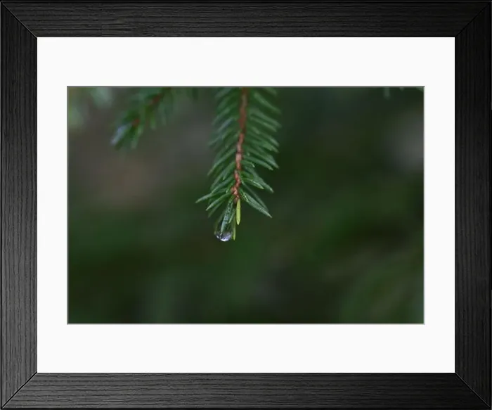 Framed Print : 2yhmbkn Framed Print : 2yhmbkn