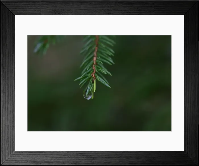 Framed Print : 2yhmbx3 Framed Print : 2yhmbx3