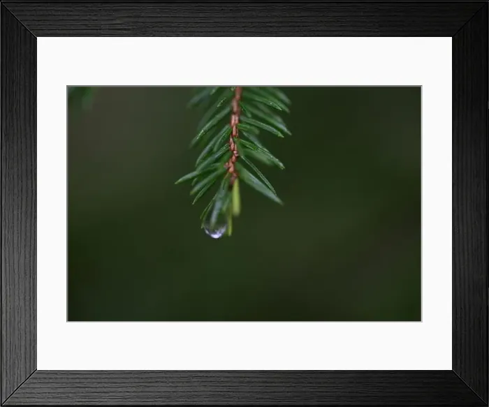 Framed Print : 2yhmc0t Framed Print : 2yhmc0t