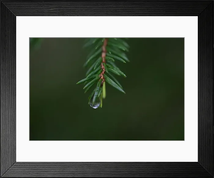 Framed Print : 2yhmc24 Framed Print : 2yhmc24