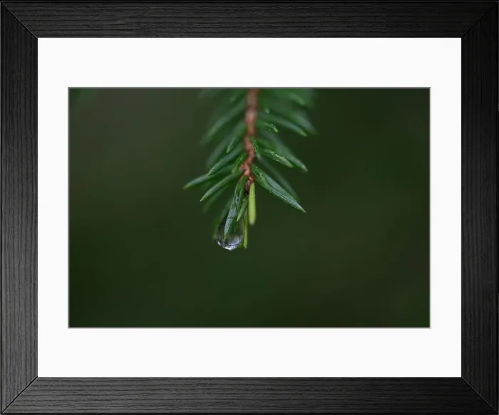 Framed Print : 2yhmc8e Framed Print : 2yhmc8e