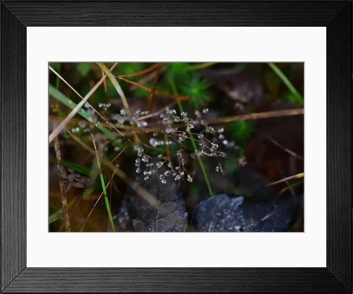 Framed Print : 2yhmcxr Framed Print : 2yhmcxr