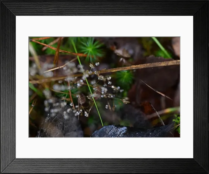 Framed Print : 2yhmcy1 Framed Print : 2yhmcy1