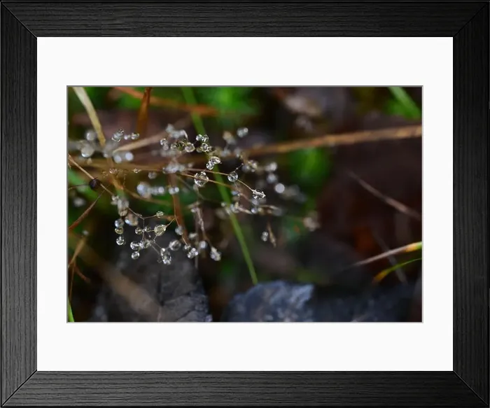 Framed Print : 2yhmcy6 Framed Print : 2yhmcy6