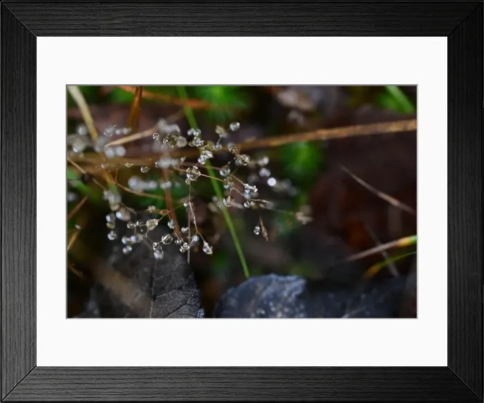 Framed Print : 2yhmcyc Framed Print : 2yhmcyc