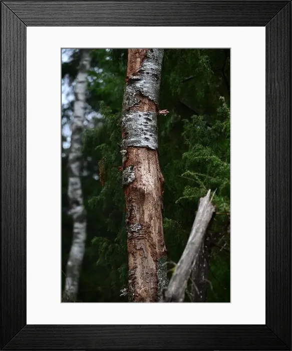 Framed Print : 2yhmd0r Framed Print : 2yhmd0r