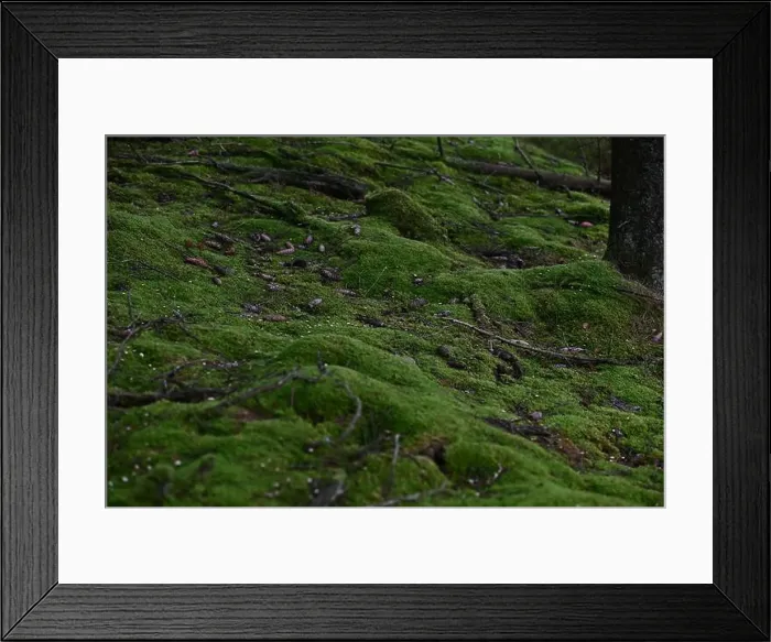 Framed Print : 2yhmd1c Framed Print : 2yhmd1c