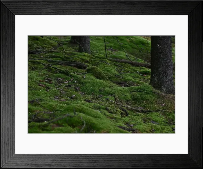 Framed Print : 2yhmd2g Framed Print : 2yhmd2g