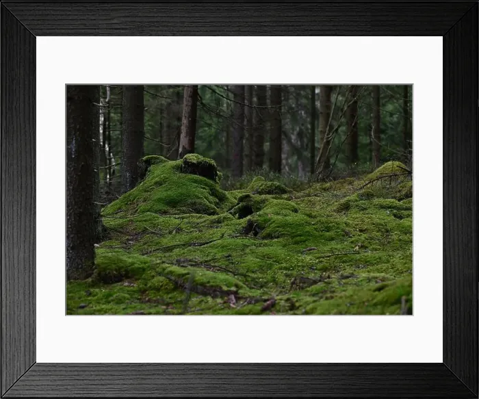 Framed Print : 2yhmd32 Framed Print : 2yhmd32