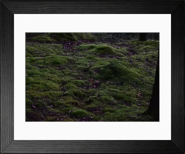 Framed Print : 2yhmd8j Framed Print : 2yhmd8j