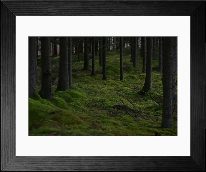 Framed Print : 2yhmdff Framed Print : 2yhmdff