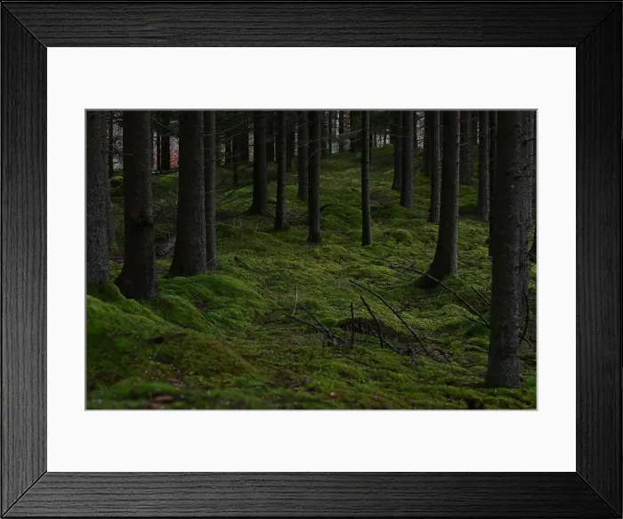 Framed Print : 2yhmdmc Framed Print : 2yhmdmc