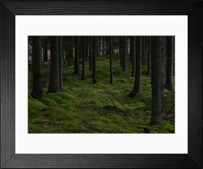 Framed Print : 2yhmdnb Framed Print : 2yhmdnb