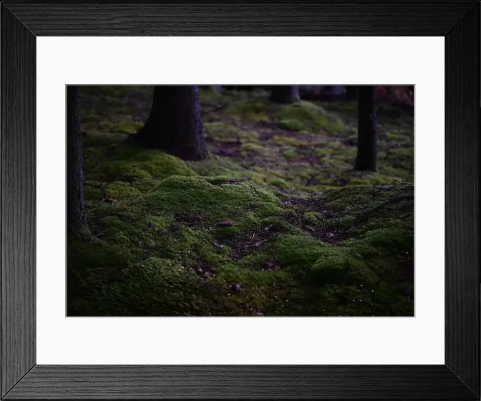Framed Print : 2yhmehn Framed Print : 2yhmehn