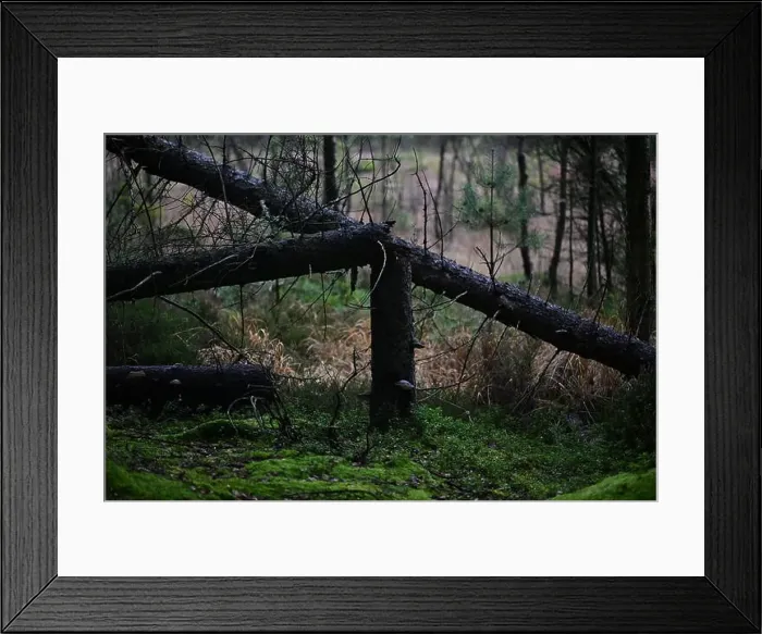Framed Print : 2yhmeya Framed Print : 2yhmeya