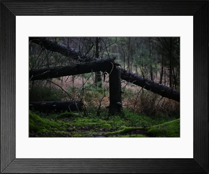 Framed Print : 2yhmf7a Framed Print : 2yhmf7a