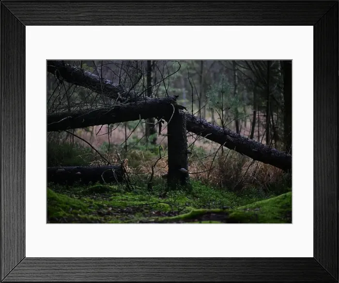 Framed Print : 2yhmf7x Framed Print : 2yhmf7x