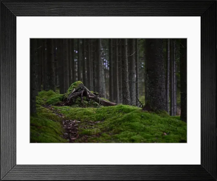 Framed Print : 2yhmf94 Framed Print : 2yhmf94