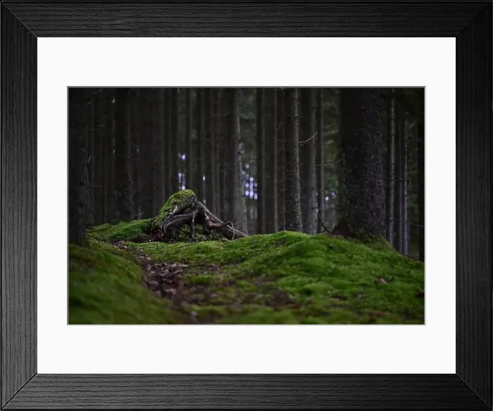 Framed Print : 2yhmfab Framed Print : 2yhmfab