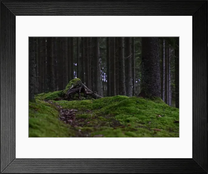 Framed Print : 2yhmfng Framed Print : 2yhmfng