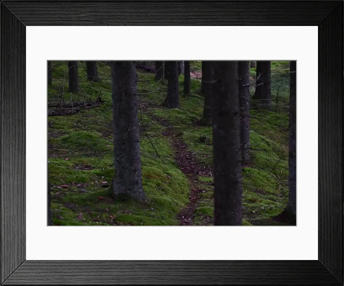 Framed Print : 2yhmfrf Framed Print : 2yhmfrf