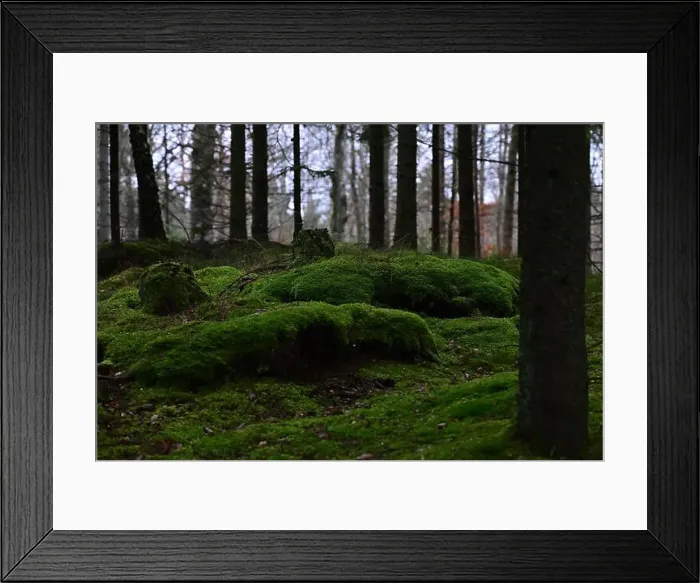 Framed Print : 2yhmg7j Framed Print : 2yhmg7j
