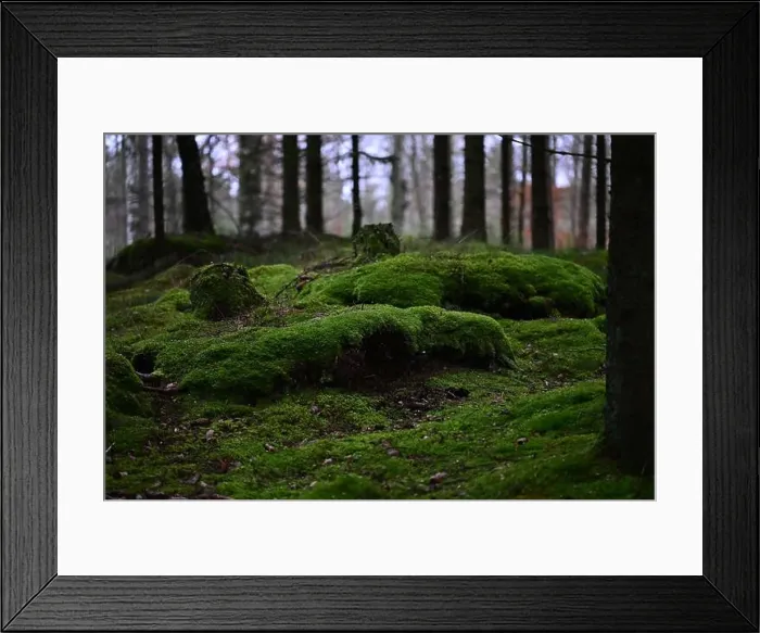 Framed Print : 2yhmg81 Framed Print : 2yhmg81