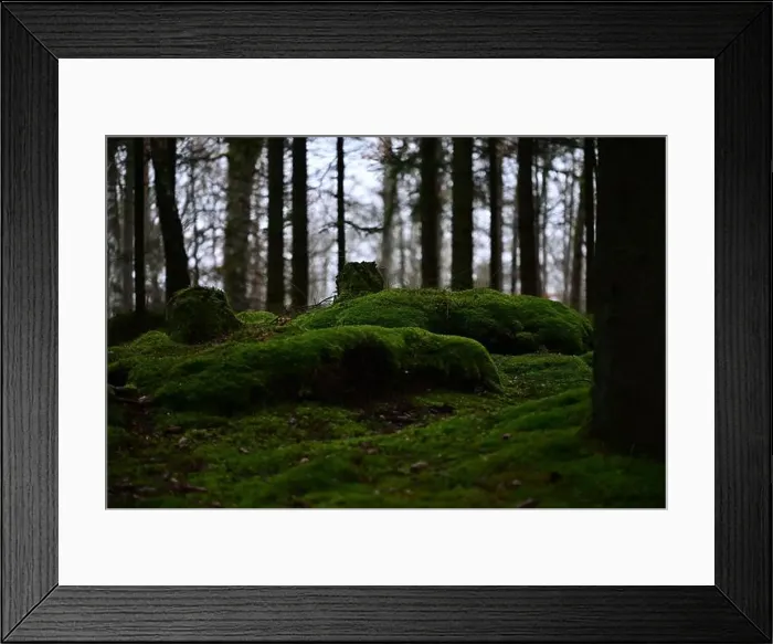 Framed Print : 2yhmg8h Framed Print : 2yhmg8h