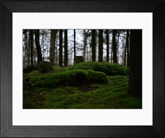 Framed Print : 2yhmg90 Framed Print : 2yhmg90