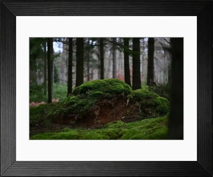 Framed Print : 2yhmga6 Framed Print : 2yhmga6