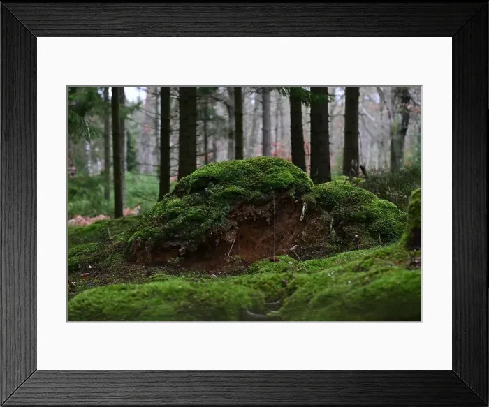 Framed Print : 2yhmgwb Framed Print : 2yhmgwb