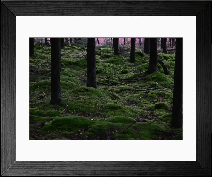 Framed Print : 2yhmgx6 Framed Print : 2yhmgx6