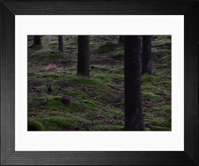 Framed Print : 2yhmgxt Framed Print : 2yhmgxt