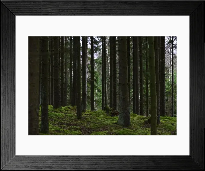 Framed Print : 2yhmhef Framed Print : 2yhmhef
