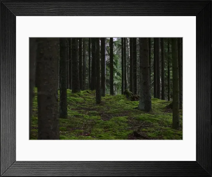 Framed Print : 2yhmhf3 Framed Print : 2yhmhf3