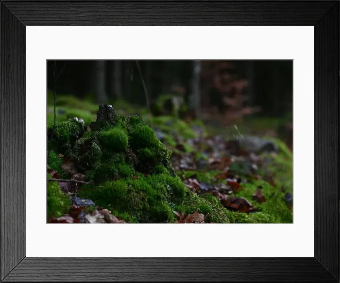 Framed Print : 2yhmhfc Framed Print : 2yhmhfc