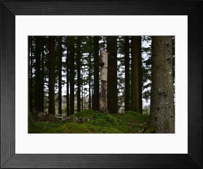 Framed Print : 2yhmj2r Framed Print : 2yhmj2r