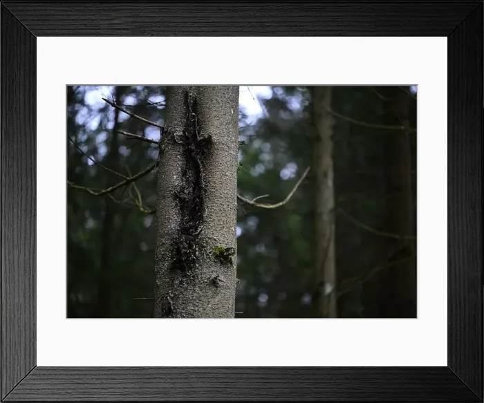 Framed Print : 2yhmjj7 Framed Print : 2yhmjj7