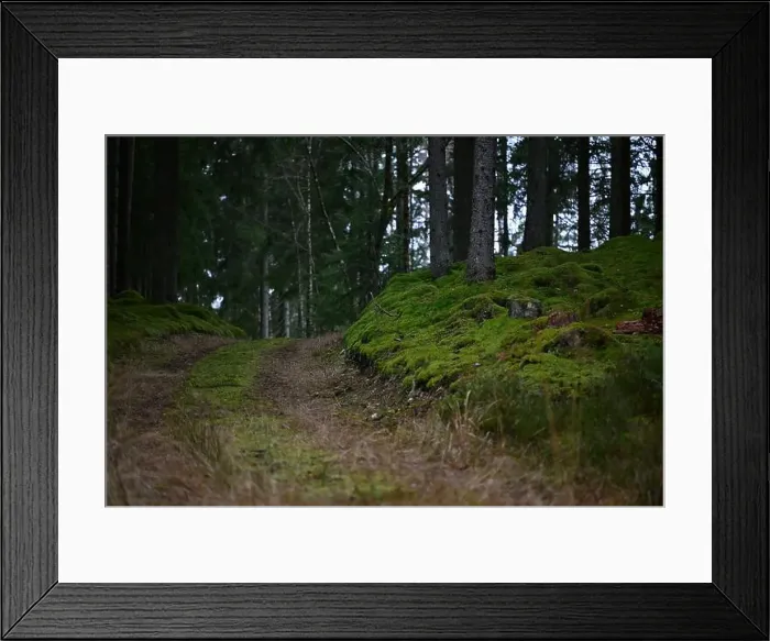 Framed Print : 2yhmjjr Framed Print : 2yhmjjr