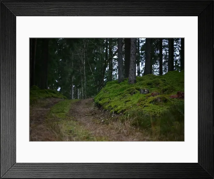 Framed Print : 2yhmjk8 Framed Print : 2yhmjk8