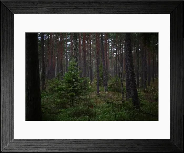 Framed Print : 2yhmjn2 Framed Print : 2yhmjn2